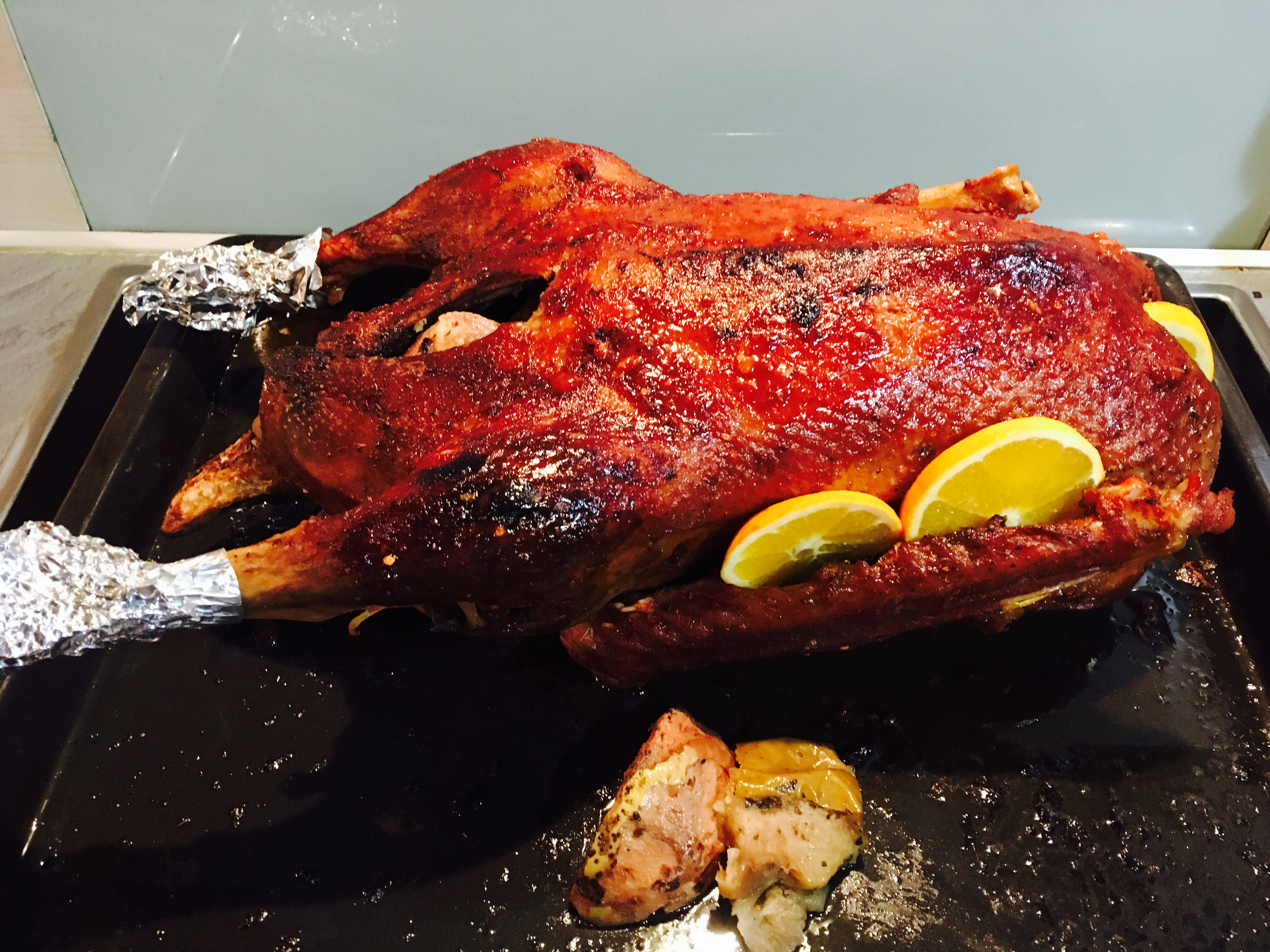 foto-11-11-16-19-04-28