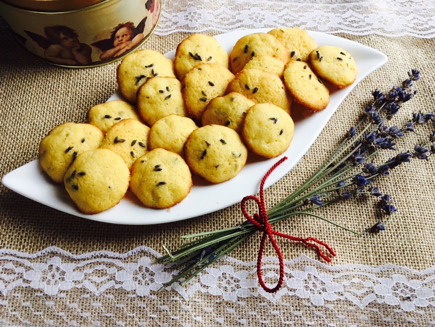 foto-15-12-16-12-58-26