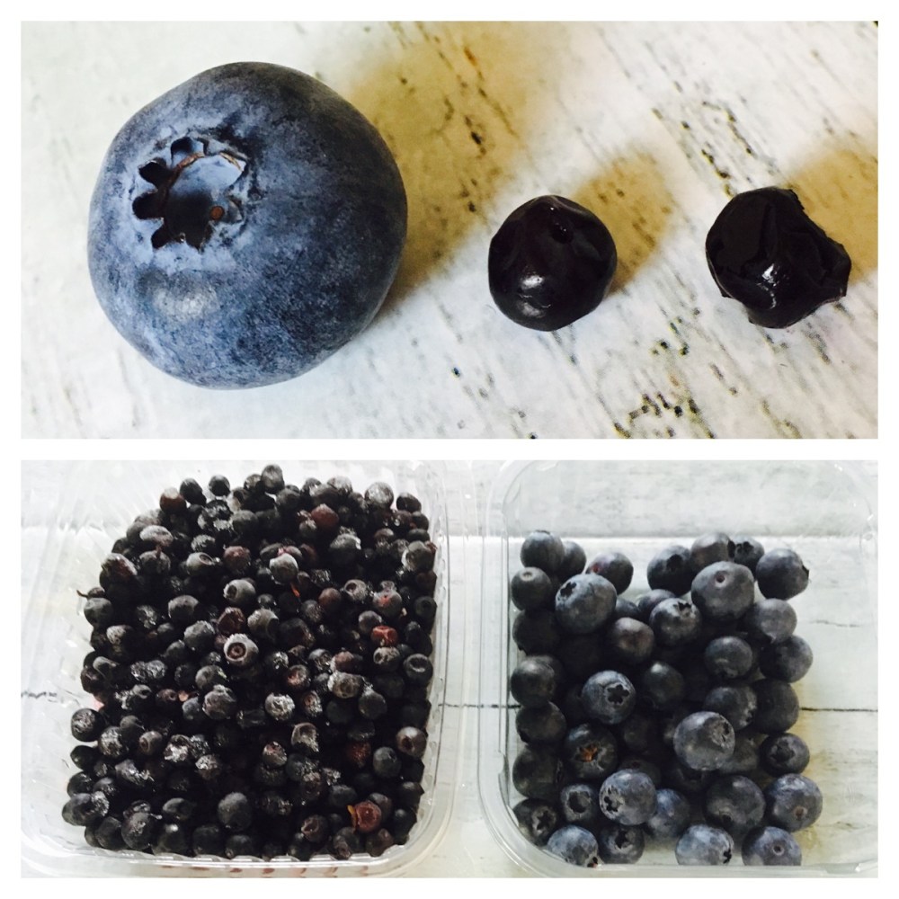 Foto 11.04.18, 17 25 29