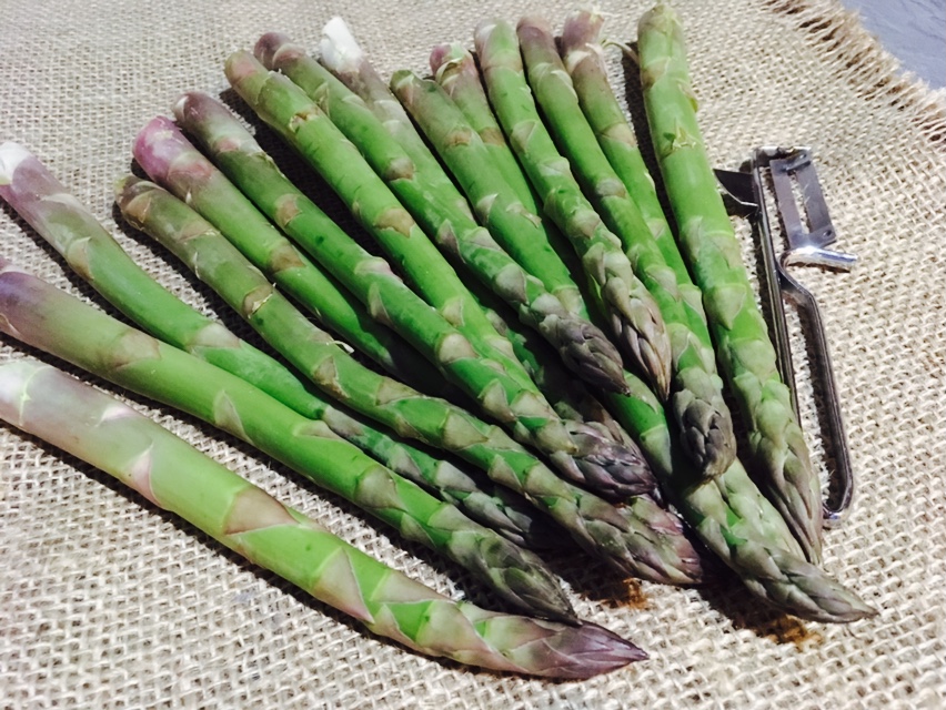 Foto 21.04.18, 22 10 40