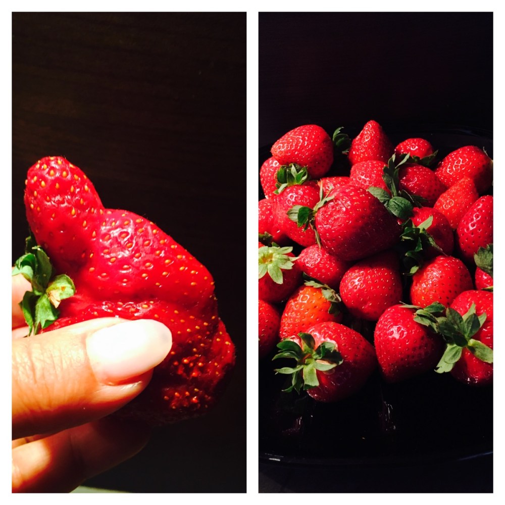 Foto 26.06.18, 10 14 50