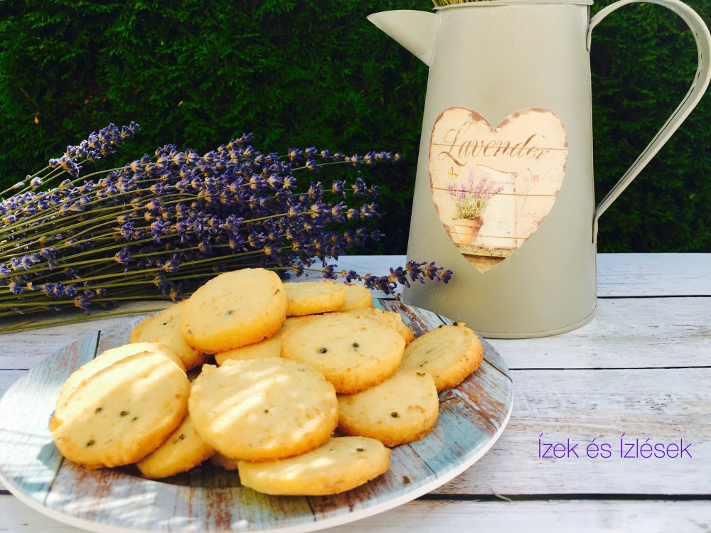 Foto 13.07.18, 11 14 21