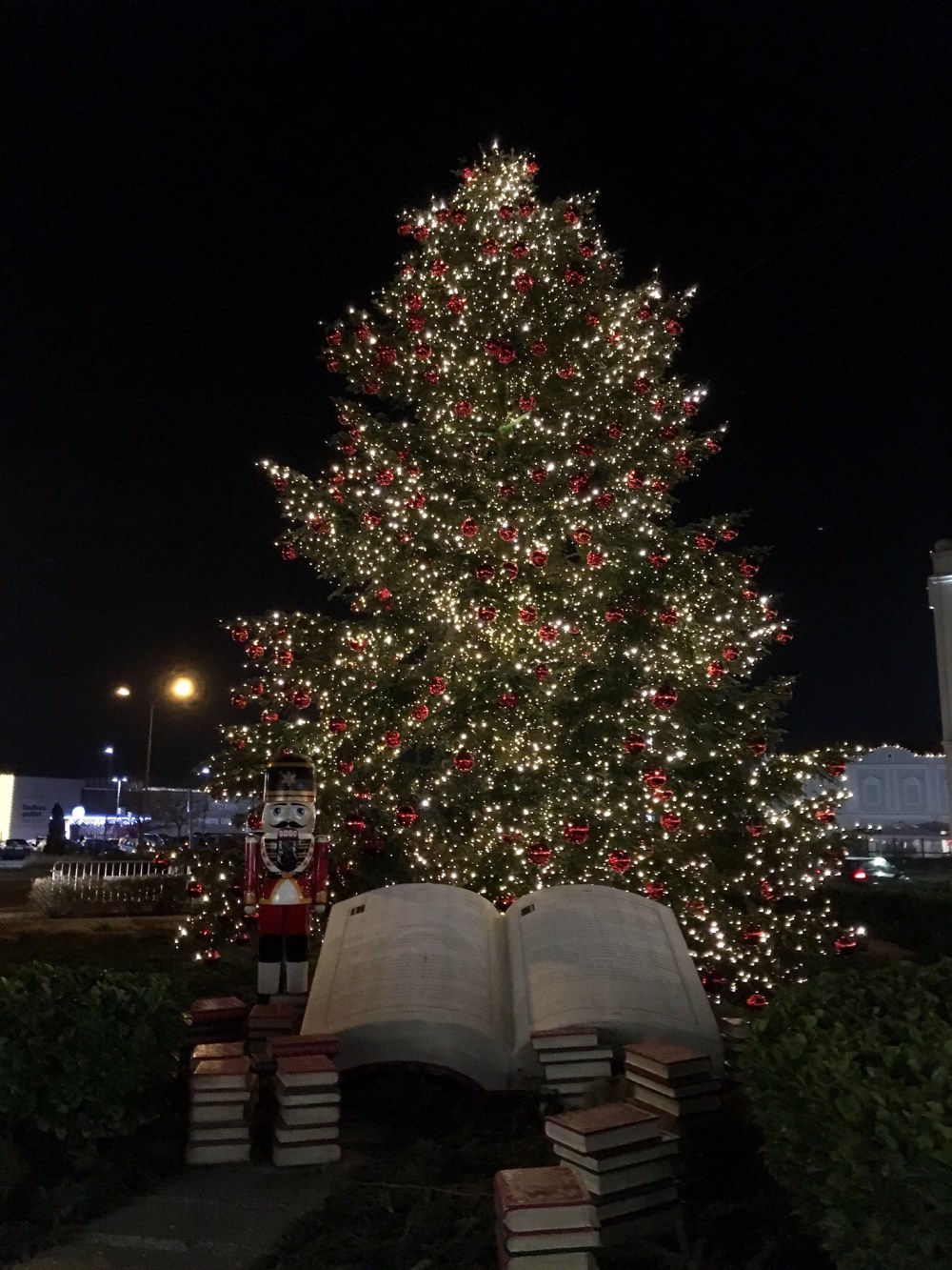 Foto 07.12.16, 17 34 42