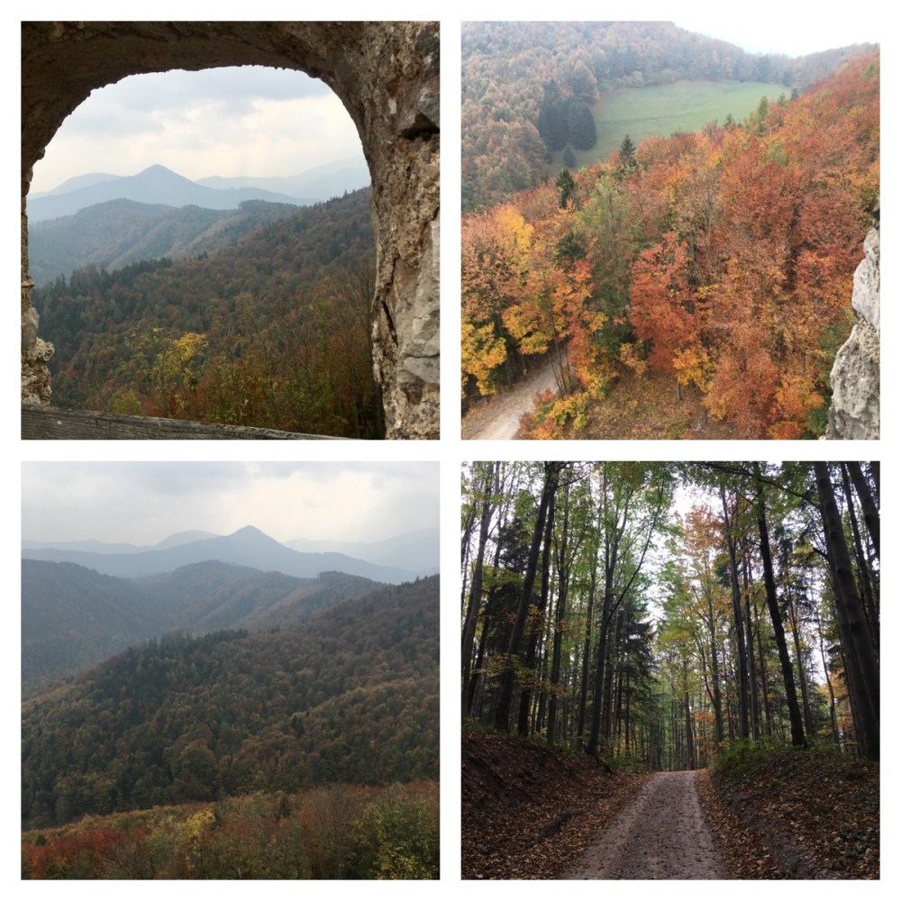 Foto 08.11.18, 23 36 05