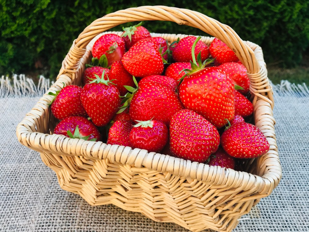 Foto 13.06.20, 19 51 55